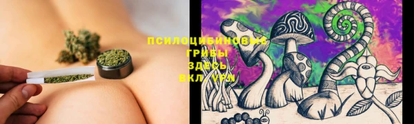 спайс Богородицк