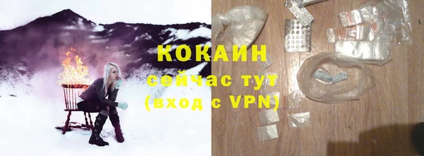 шишки Белоозёрский