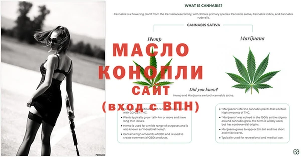 скорость Богданович