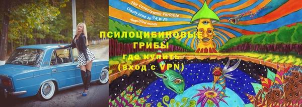 спайс Богородицк