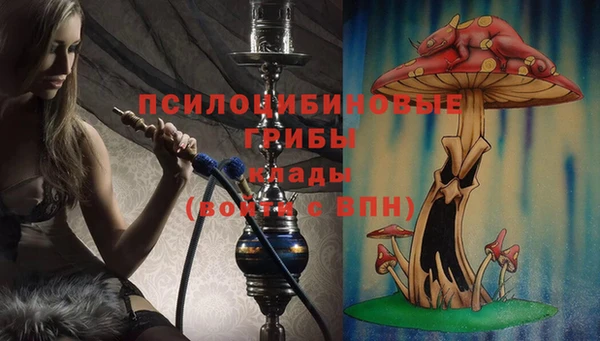 спайс Богородицк