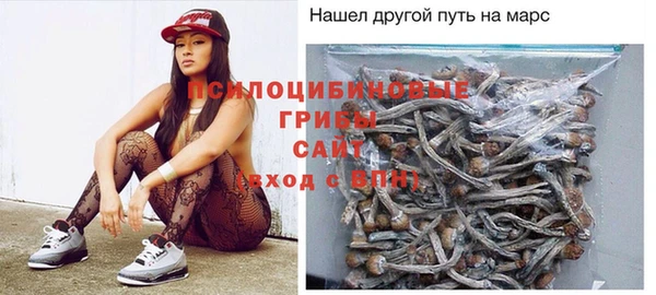 скорость Богданович