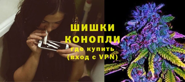 спиды Богородск